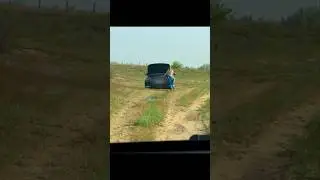 Мачеха друга застряла в лесу... 😳 