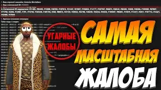 САМАЯ МАСШТАБНАЯ ЖАЛОБА - УГАРНЫЕ ЖАЛОБЫ GTA 5 RP STRAWBERRY/DOWNTOWN/VINEWOOD/ECLIPSE