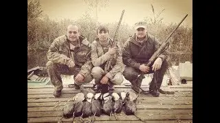 Утиная охота с чучелами на водохранилище. Северка и много лыски. Duck hunting with decoys.