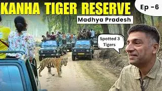 EP 6 Kanha National Park, Madhya Pradesh | Spotted 3 Tigers from close distance