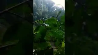 আবার বৃষ্টি নামলো তোমাদের কথায়!!