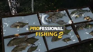 Professional Fishing 2  / PROтестим  /  Общение