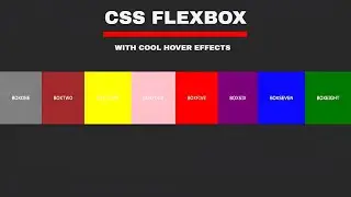 Cool CSS Flexbox With Hover Effects | CSS3 Hover Effects