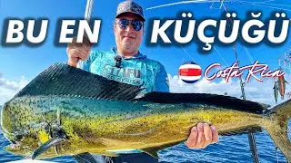 Türkler Kosta Rika’da Rekorlara Doymadı - BLUE MARLIN, SAILFISH, MAHI MAHI !