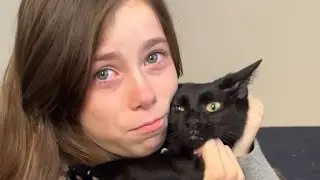 The cat is CRYING..😭