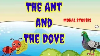 The ant and The Dove