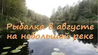 Рыбалка в августе на небольшой реке