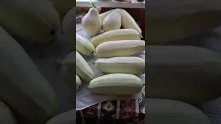 Zа пять минут собрал на нашей грядке🍅🥕🍆🌞😃🌞