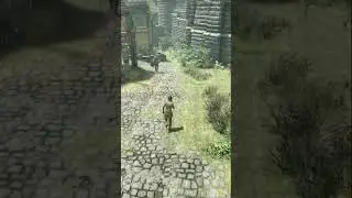 Solitude Skyrim Knowledge 