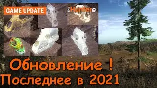 Последнее обновление в 2021 году (theHunter:Classic)
