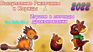 ✨ВЫЛУПЛЕНИЕ МОИХ НОВЫХ ДРАКОНОВ КОРИЦА И РЖАВЧИНА/ИГРАЮ В ЛЕГЕНДЫ ДРАКОНОМАНИИ/Dragon Mania Legends✨