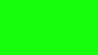 10 Hours of Green Screen