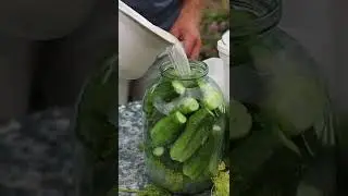 ОБАЛДЕННЫЕ ХРУСТЯЩИЕ ОГУРЦЫ НА ЗИМУ! Секрет бабушки