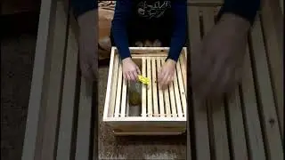 We are settling bees in an apartment in Zaporizhzhia