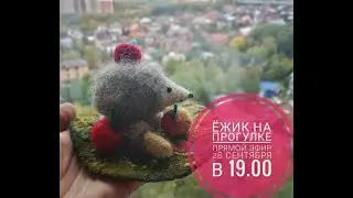 Валяем ёжика. Запись прямого эфира.