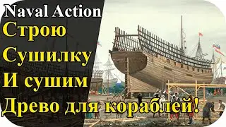 Строю сушилку! Сушим дерево для постройки кораблей! | Naval Action