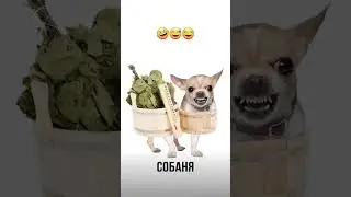 посмотри в комментарии #tiktok #мем #memes #подпишись #shorts
