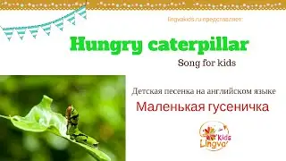 Детская песенка на английском языке про гусеничку Caterpillar Song