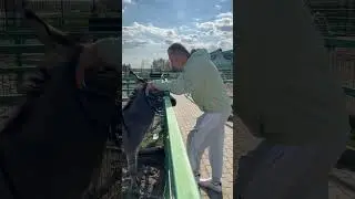 🤣 