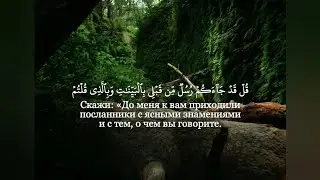 Сура 3 