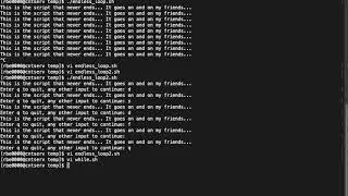 Shell Scripting 101: while loops