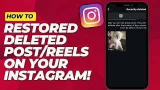 How to Restore Recently Deleted Instagram Posts and Reels (New Updates!) - 2025