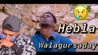 MUSTAF DOLLAR HEBLA WAALAGUURSADAY CK REACTION