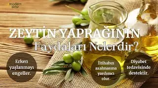 MODERN AKTAR ZEYTİN YAPRAĞI|FAYDALARI NELERDİR?
