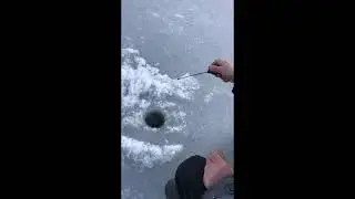 Рыбалка в День Защитника Отечества!