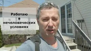 Работаю в нечеловеческих условиях / Блогер и Хаски / Блогер БН / США
