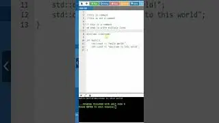C++ Program to write a commenting