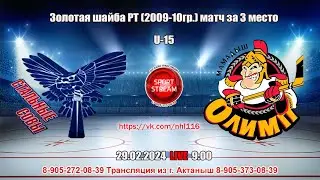 29.02.2024 СТАЛЬНЫЕ СОВЫ (Черемшан) - ОЛИМП (Мамадыш) LIVE 