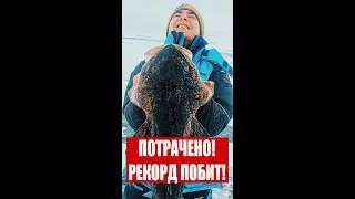 РЕКОРД ПОБИТ! НАЛИМ-МОНСТР!..