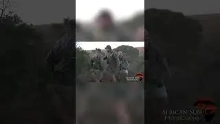 The ultimate buffalo charge ever caught on video. This is what we do.  