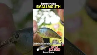 Summertime Smallmouth Fishing Tricks & Tech【Summertime Cranking 05, 06, 07, 08】