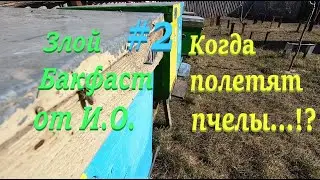 ✅ Злой БАКФАСТ, пчелы начинают летать и многое не о чем! 