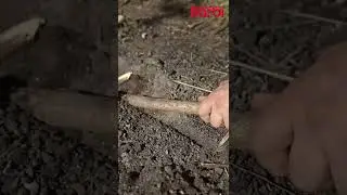 Лопатка тактическая многофункциональная для выживания