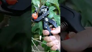 Прививочный секатор 