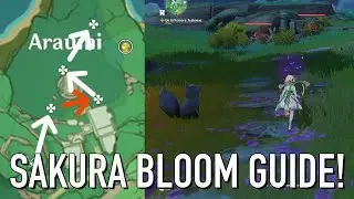 How to Pick Up Sakura Blooms [Genshin Impact 2.0]