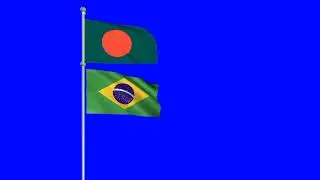 Brazil Flag Green Screen Animation | Brazil Flag Animation - 4K Flag Animation♏