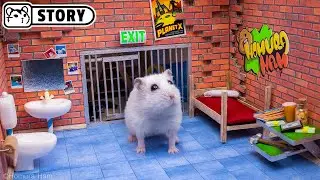 🐹 Hamster Escapes the Prison Maze and Robs the Old Bank ep.1 🐹 Homura Ham