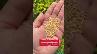 Выложи дорожку к деньгам | Белая магия 