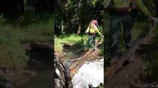 Неожиданности по тропе на Шавлу 