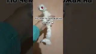 акула-альбинос в смешанной технике #handmade #смешаннаятехника