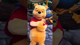 Winnie the Pooh holding a Mini Winnie the Pooh! FUNNY Disney Characters #disney #disneyparks