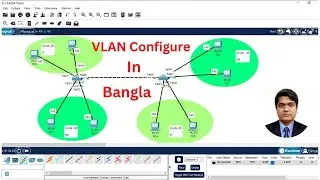 How to VLAN Configure Step by Step in Bangla