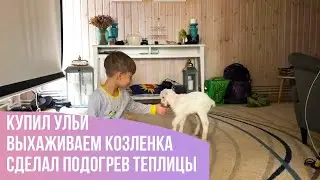Купили ульи. Выхаживаю козленка. Сделал подогрев в теплице на семейной ферме в деревне.