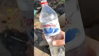 ВСУ взяли в плен новую партию российских солдат.