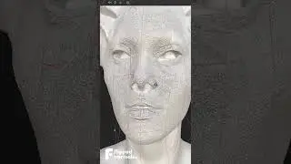 FlippedNormals Face Kit - FlippedNormals