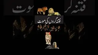 bluff master | Bragging | boasting | awarapan